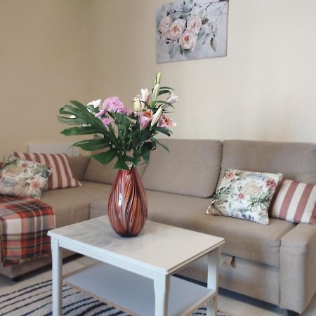 Spacious Apartment La Mata Pool&Beach Torrevieja Exterior photo